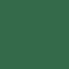 CHAP PIZARR 2.75 3MM CORT. 0526-VERDE DISCONT