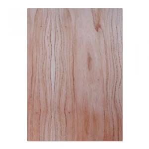 ENCHAP.CORT. MDF 1C 5.5MM PARAISO 1.83X2.60